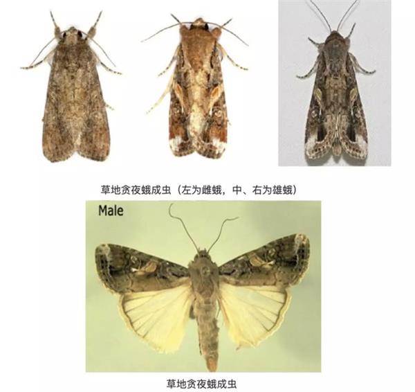 图片来源:福建省农村农业厅官网