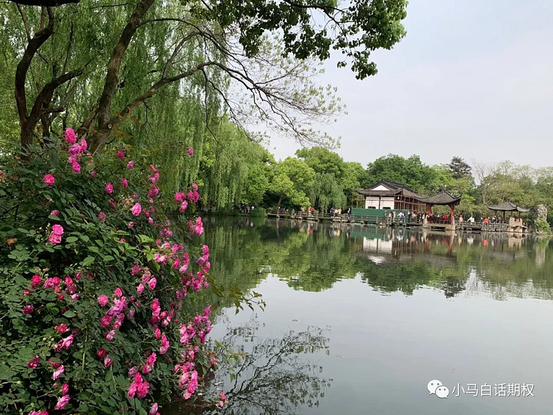 暂别ETF期权，转战股指期权~