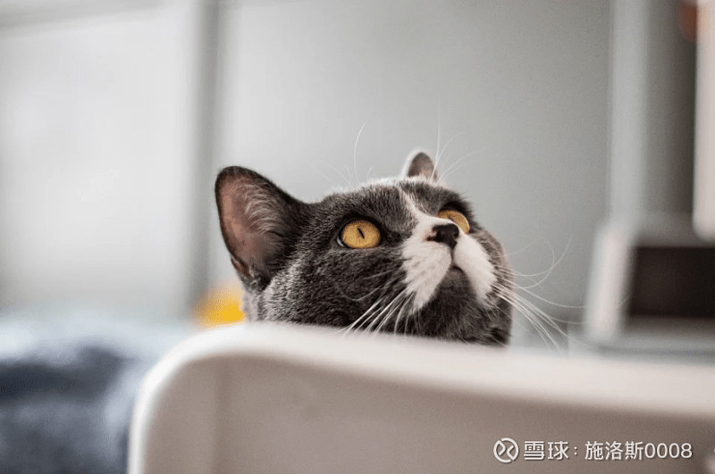 300股指期权开通交易怎么做？