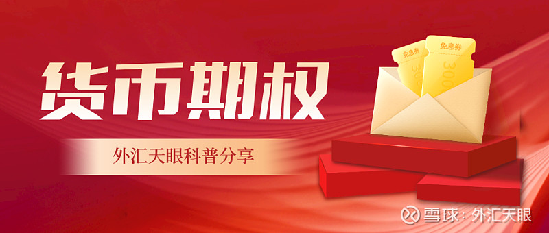 外汇天眼：涨知识！货币期权解释！