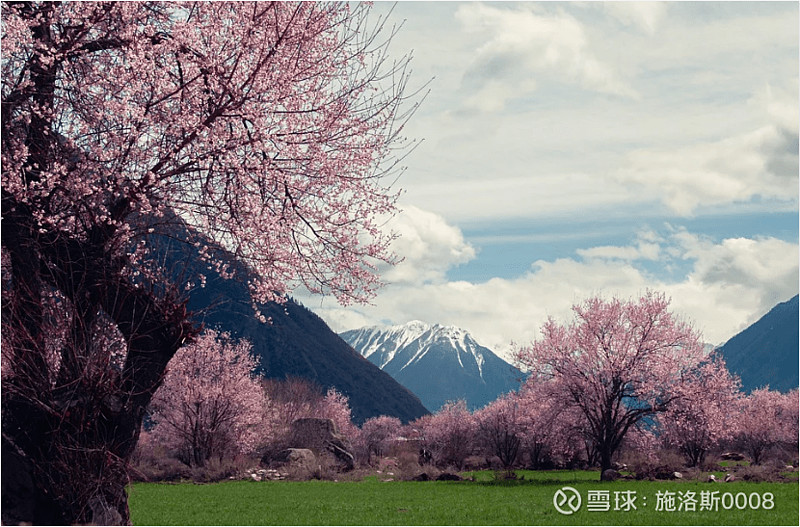 股指期权有哪些？国内股指期权有几种？